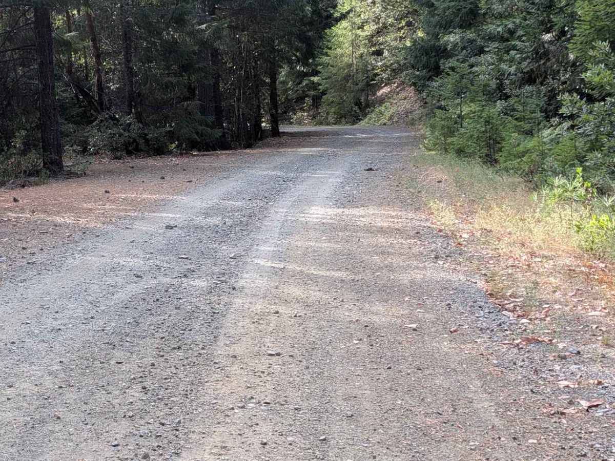Kerlin Creek Road - FS 3N14  photo 5