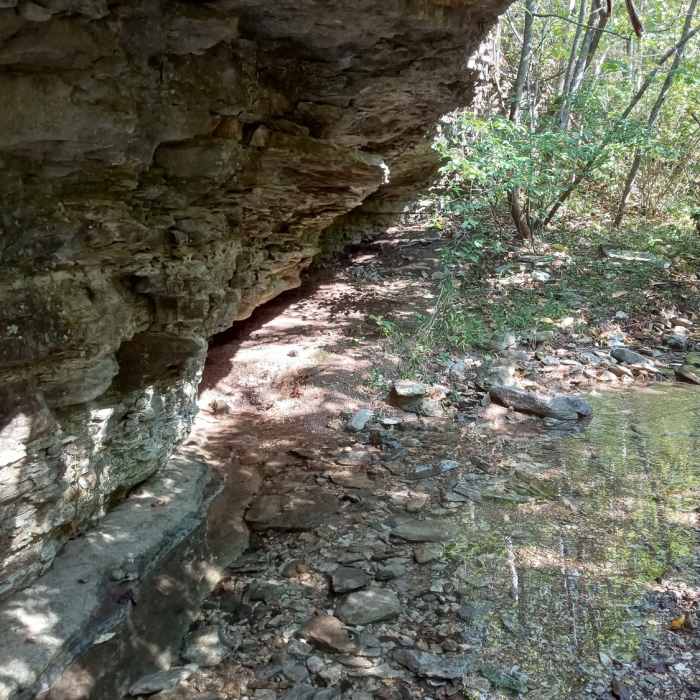 Near Devil's Eyebrow Trail