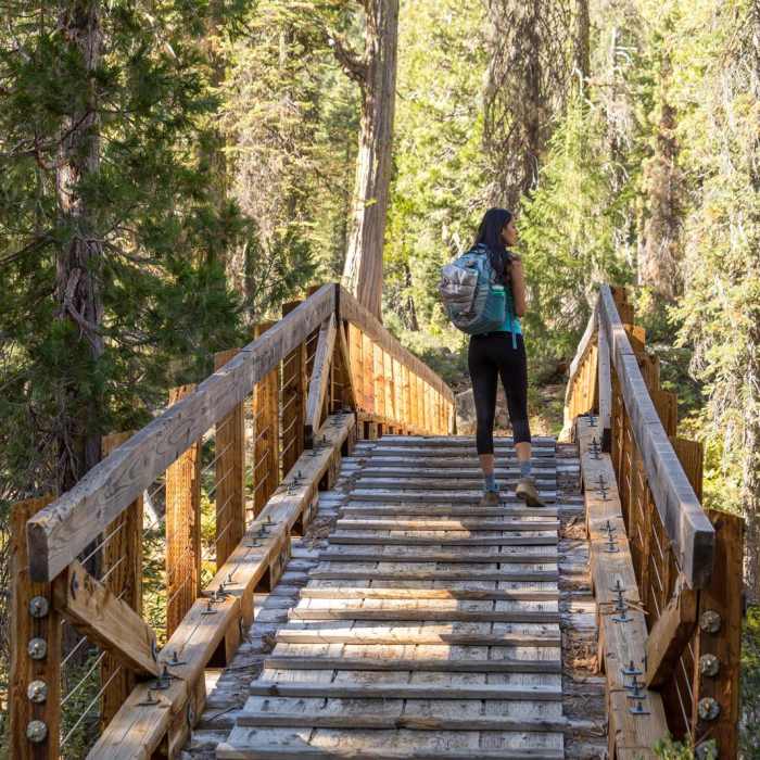 Near Bear Basin + Seven Up Pass