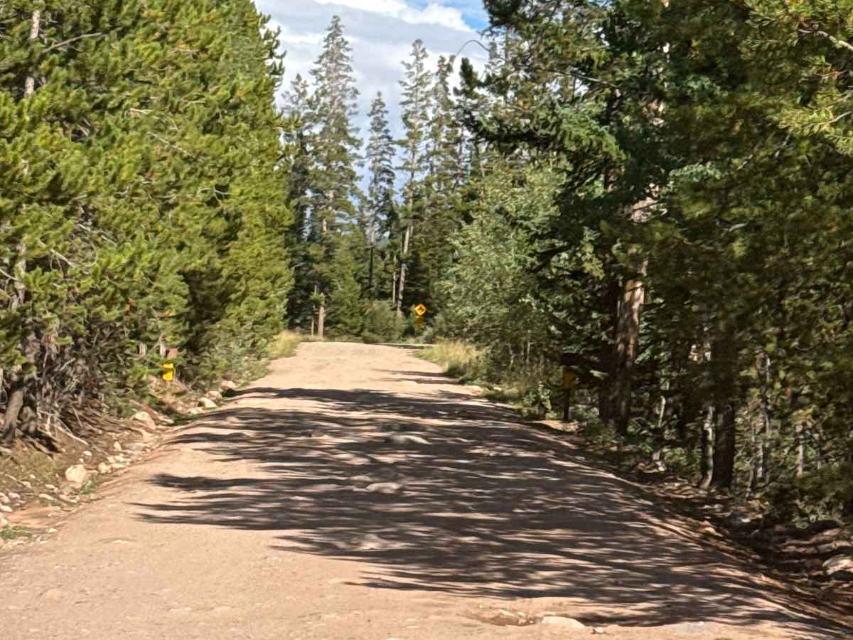 South Fork Piney - FS 701 photo 2