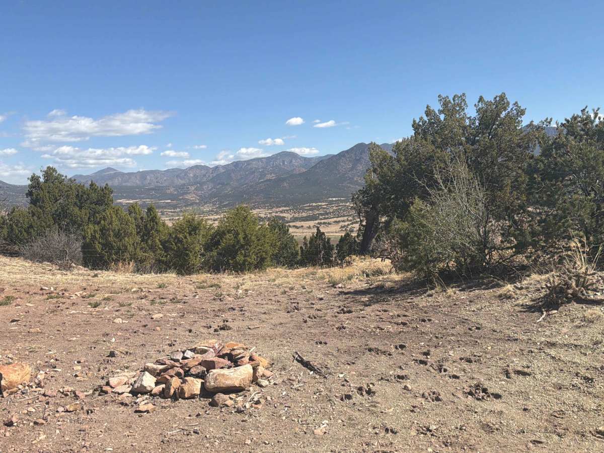 BLM 5935E photo 4