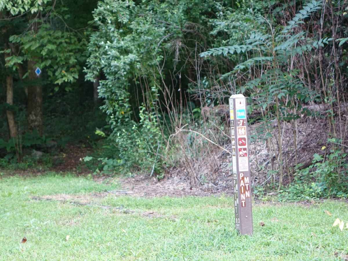 Weaver Bend trail photo