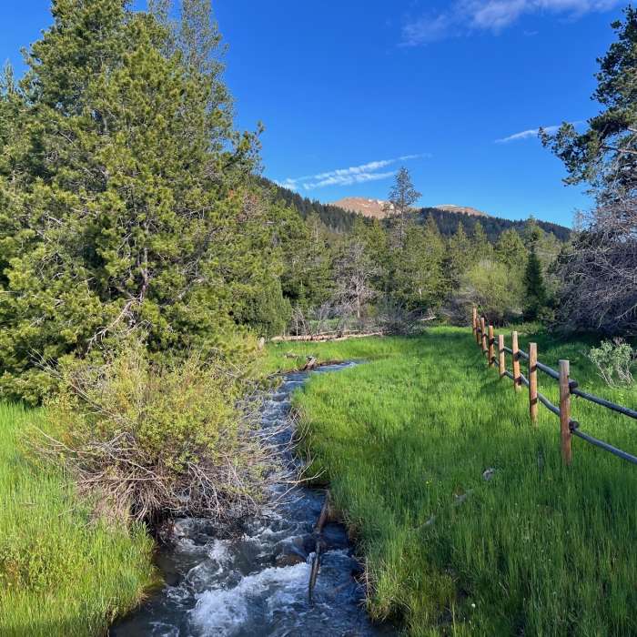 Pebble Creek Bridge on the Boundary Trail Near Robbers Roost Trail #253