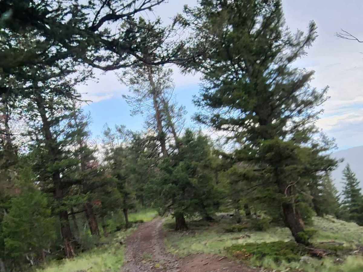 Deep Gulch Road photo 4
