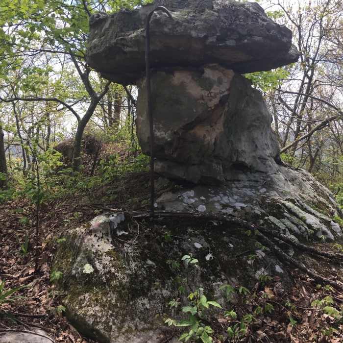 Near Grassy Cove Out and Back