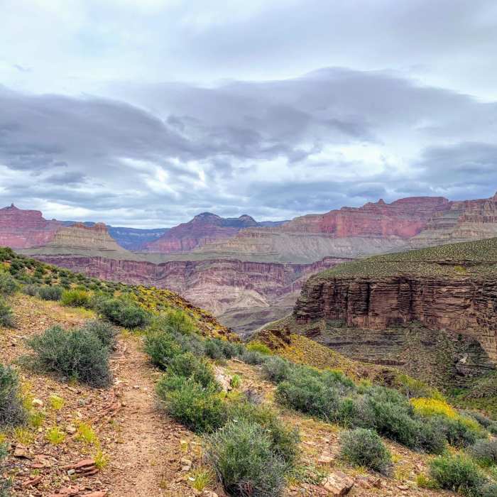 Near Tonto Trail West