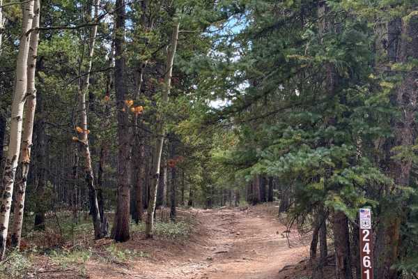 Barbour Fork Trail - FS 2461