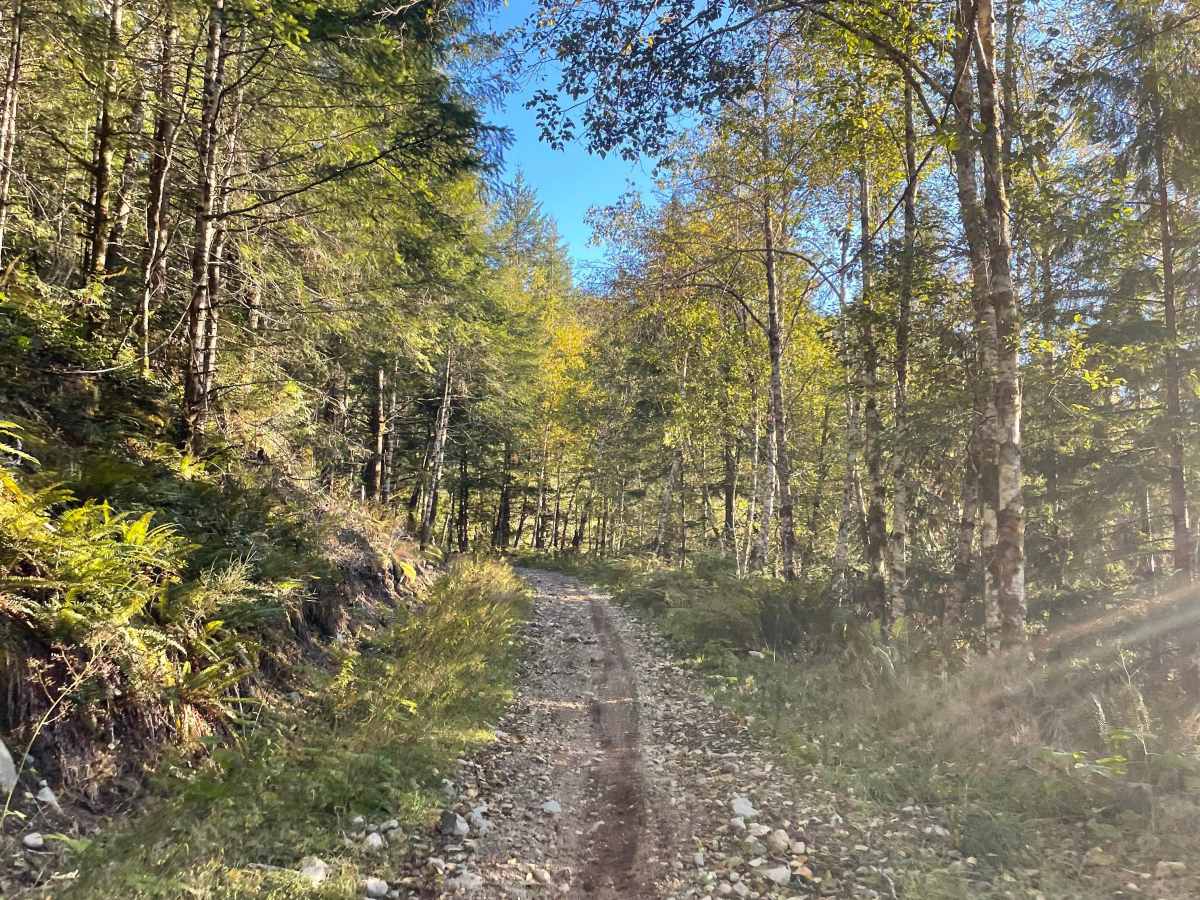 Old Pit Access photo 6