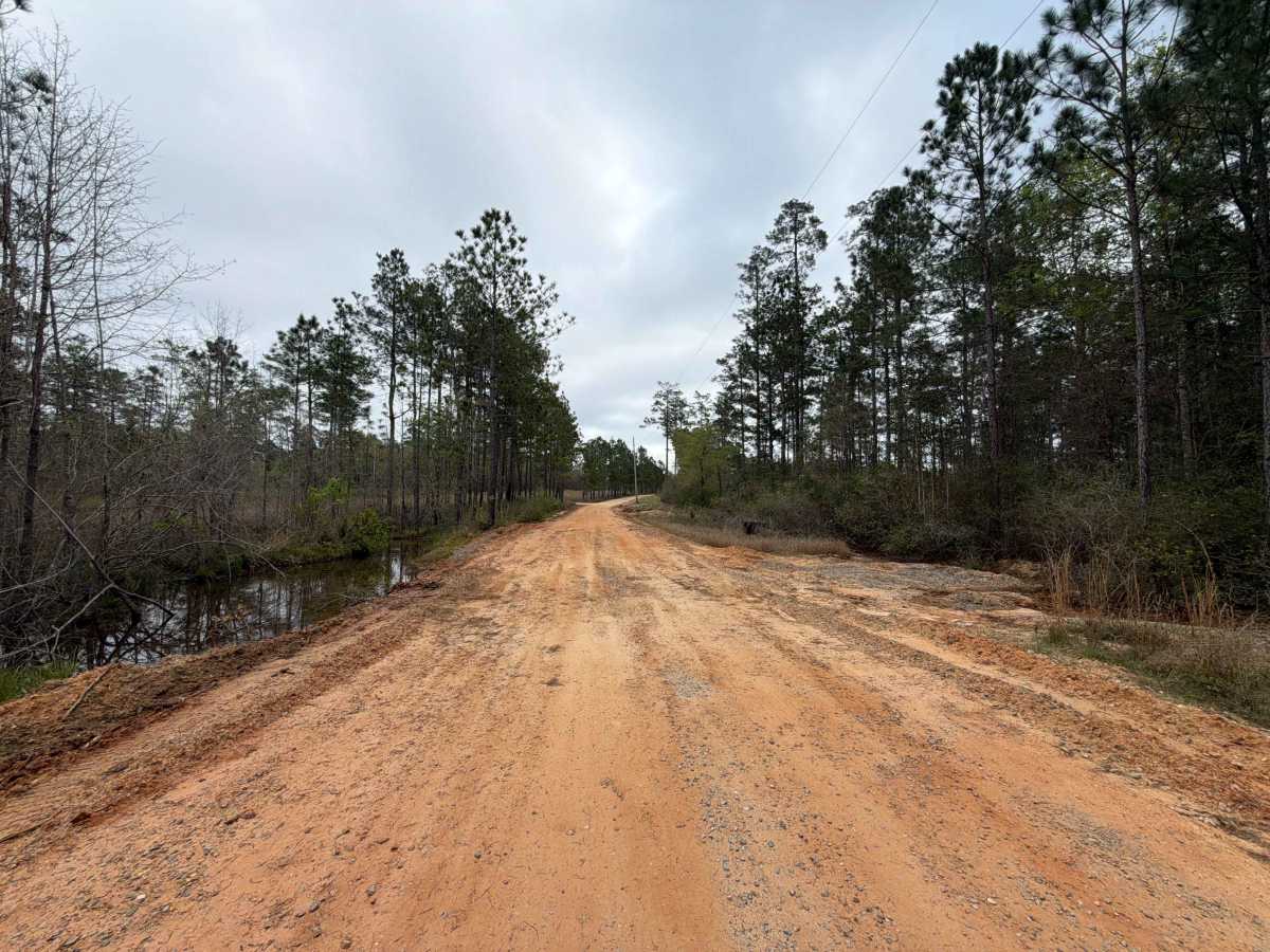 Simmons Road photo 4