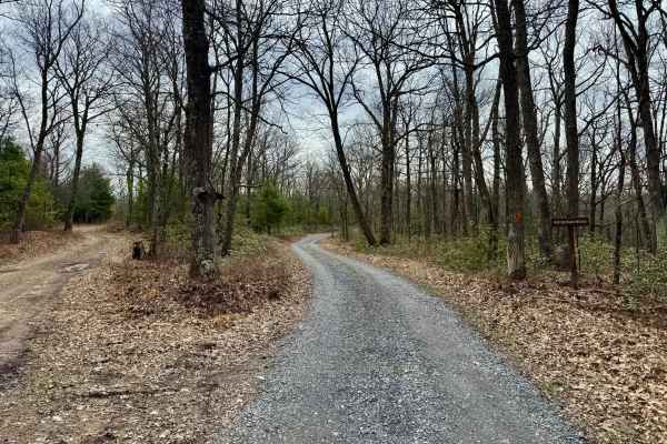 Rock Run Road