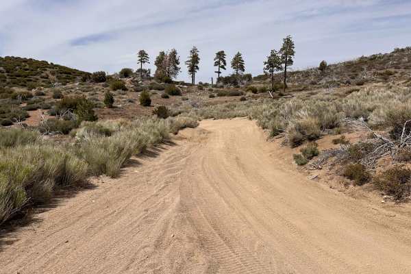 Prospector's Cutoff