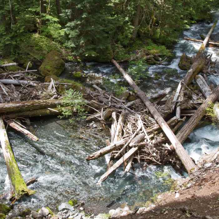 Near South Breitenbush Gorge National Recreation Trail