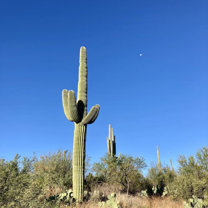 Near Loma Verde and Squeeze Pen Loop