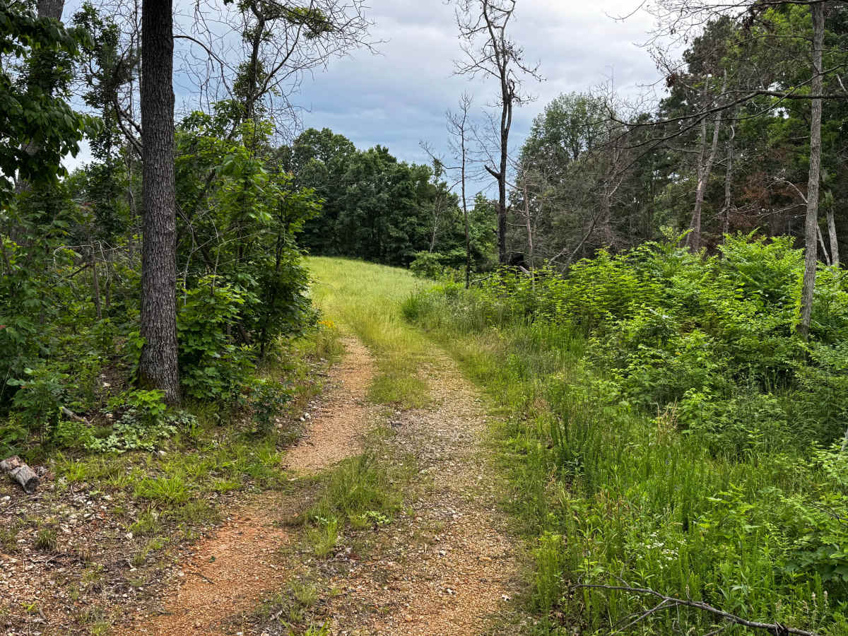 Hooper Hollow photo 3