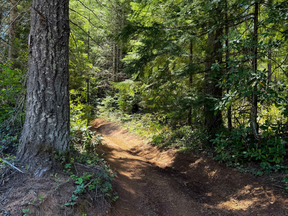 100 trail photo