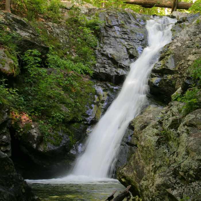 Near Cedar Run Trail