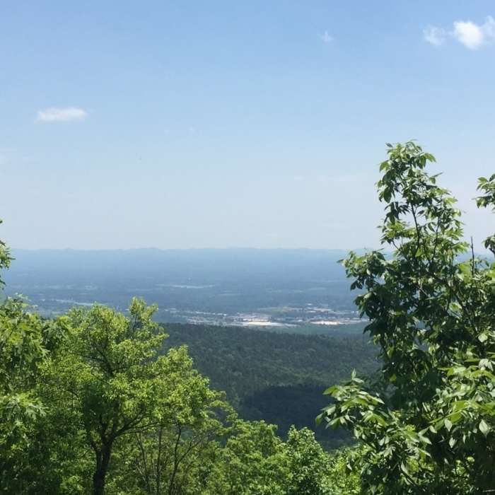 Near Mena Peak Trail