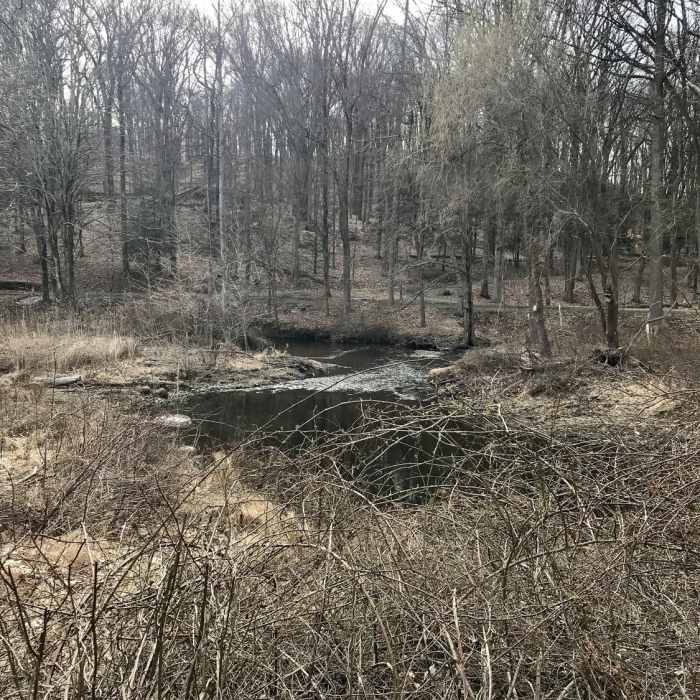 Near Pocantico River Trail