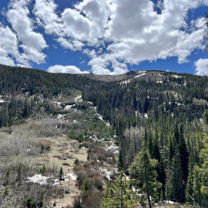 Near Green's Creek Out-and-Back