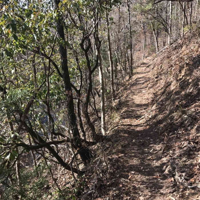 The Deer Rub Trail narrows along a cliff above Chewacla Creek. Near Chewacla State Park