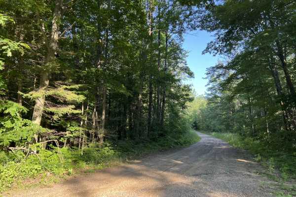 Bug Lake Road