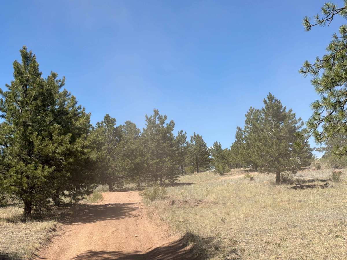 Goose Chase Loop Road - FS 243.1A photo 3