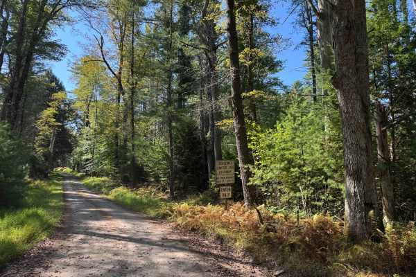 Lebanon Road