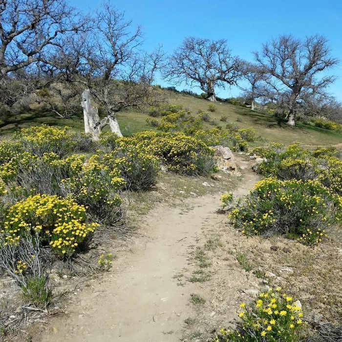 Near Jane's Loop