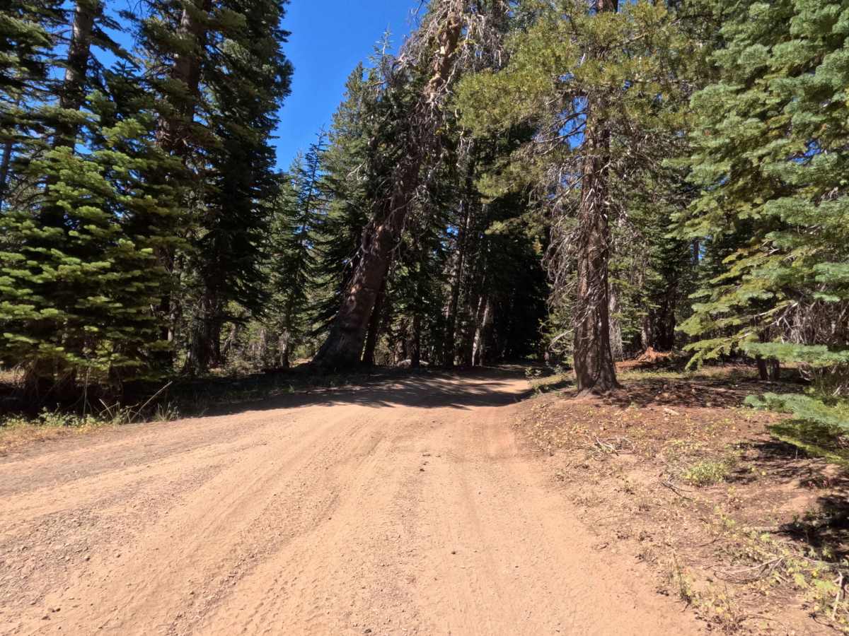 Tamarack Road - FS 31097 photo 6
