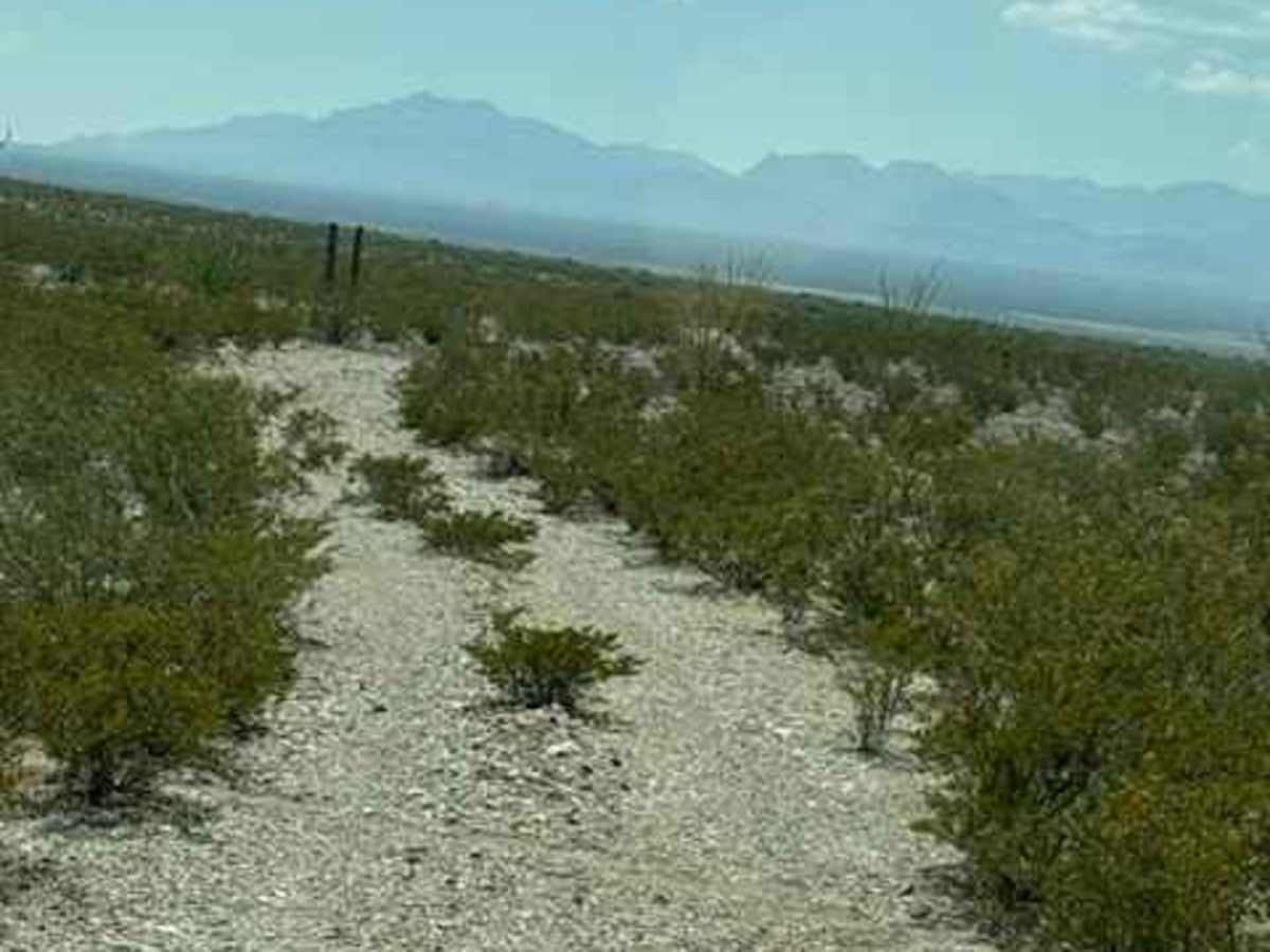 SS1170 - Part B photo 2
