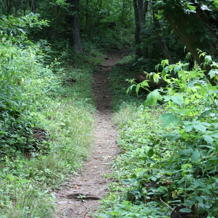 Near Neels Gap - Lake Winfield Scott Traverse