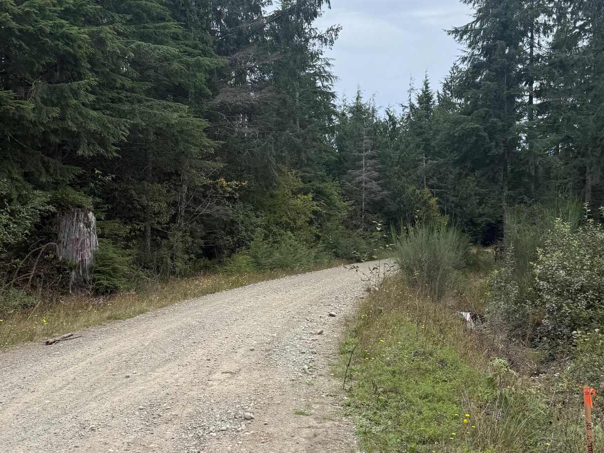 FRQ 1800 trail photo