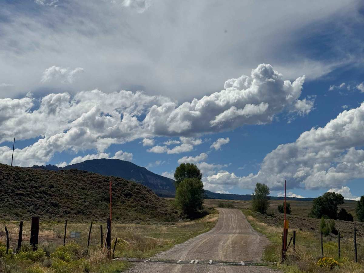 Mill Creek Road  photo 2