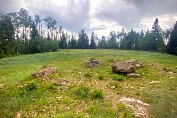 Buckles Lake-Fr Rd 663