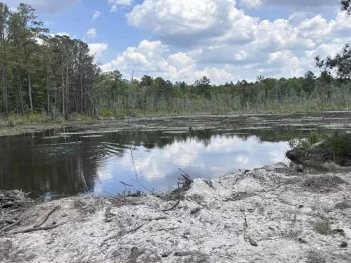 Swift Creek Road  photo 3