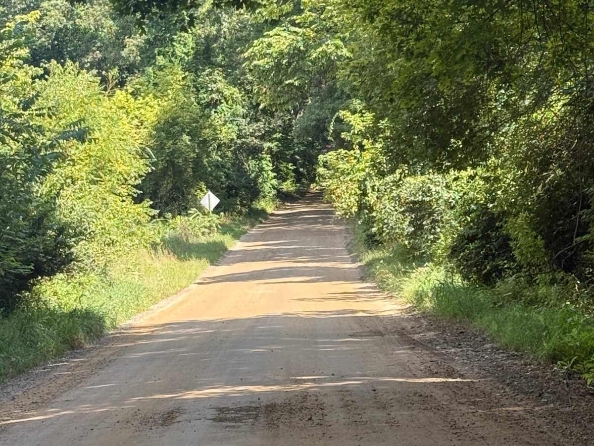 Green Trail photo 2
