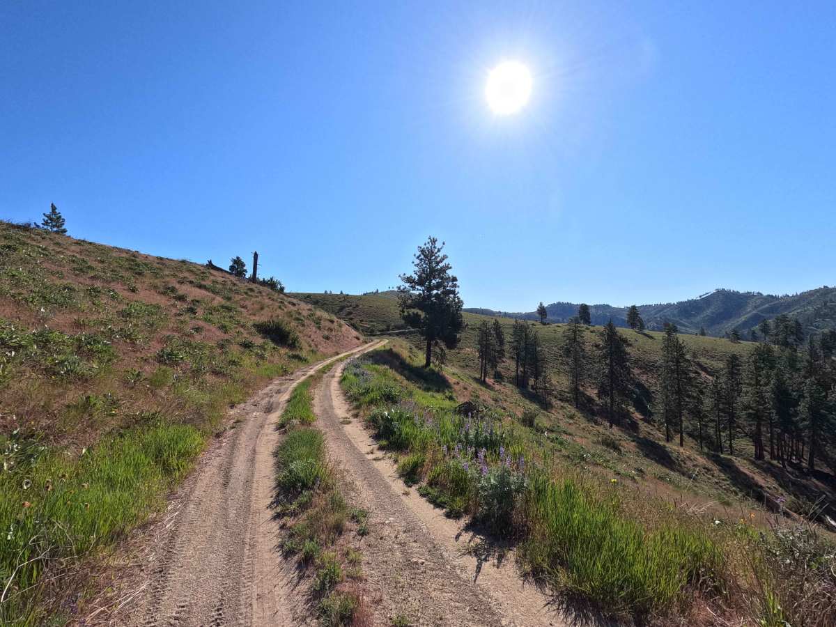 Steliko Ridge Road - FS 5310 photo 6