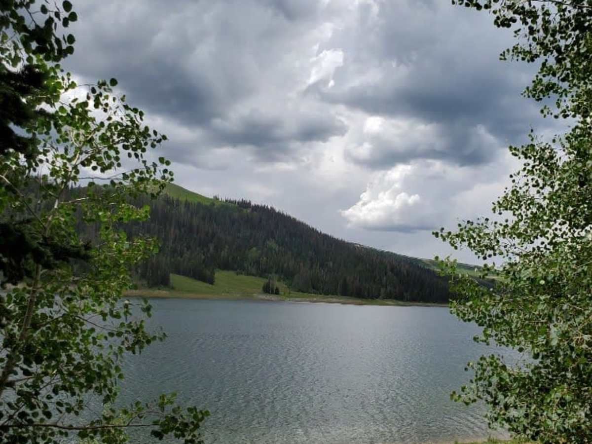 Millers Flat Road trail photo