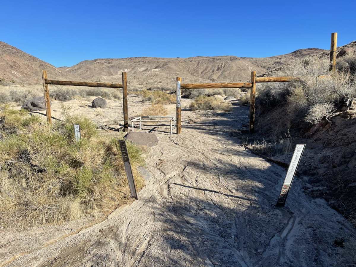 Creosote Wash photo 2