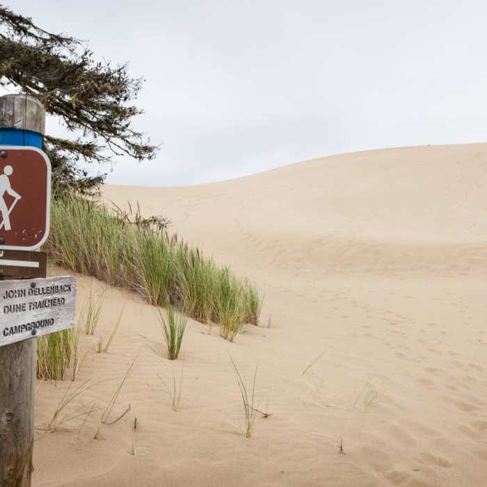 Near John Dellenback Trail