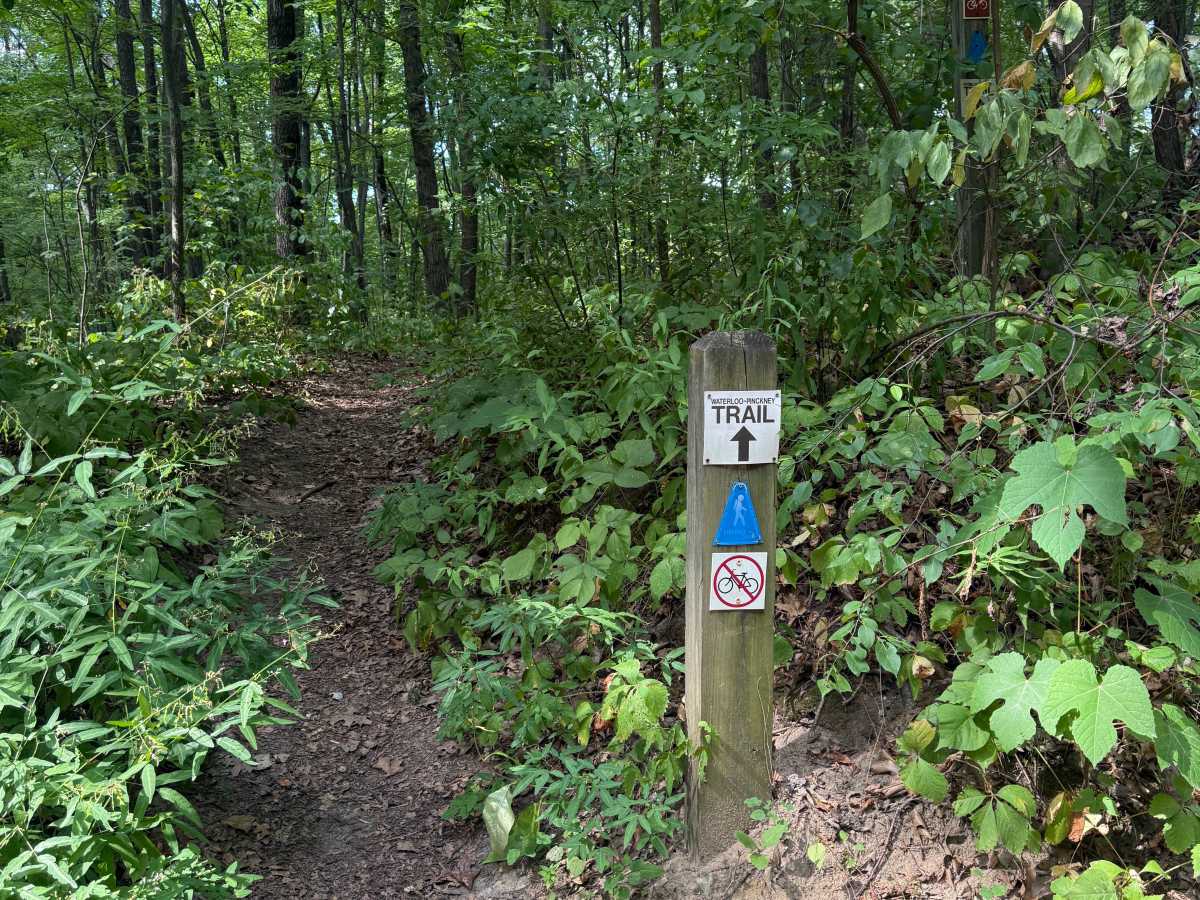 McClure Trail photo 6