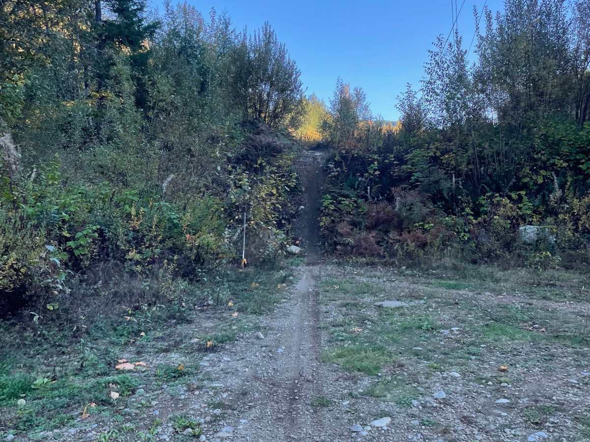 Jump Loop photo 3