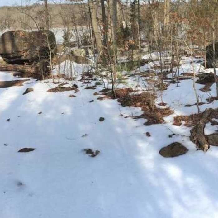Near Balanced Rock Loop