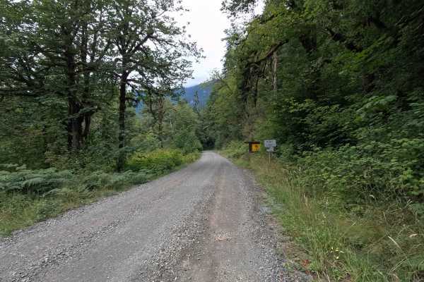 Dosewallips Road - FS 2610