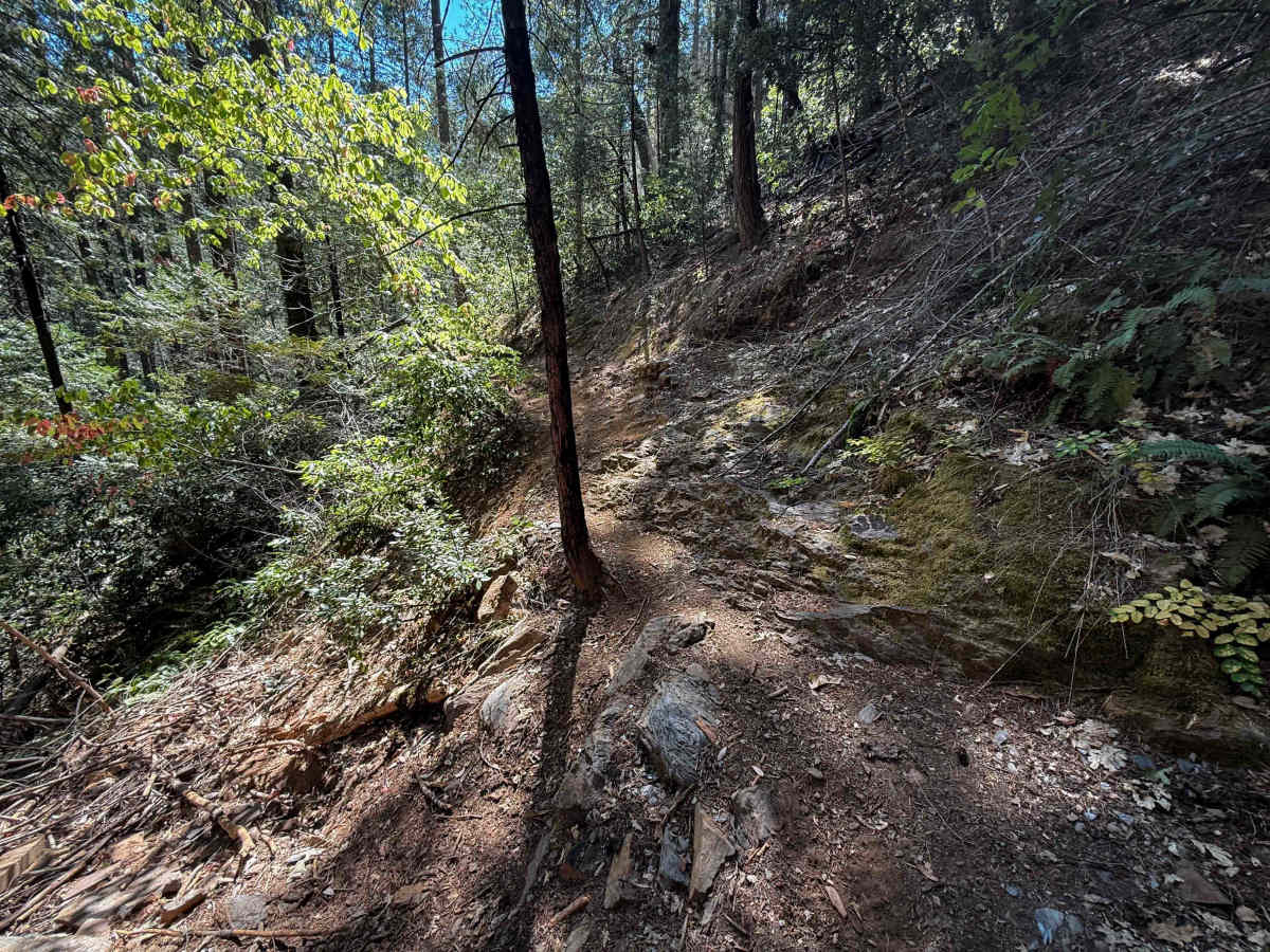 Trail 6 (12E50)   photo 2