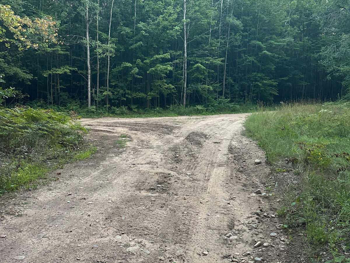 McVety Road trail photo