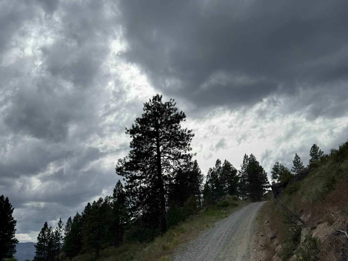 Deer Road - FS 8020-117 trail photo