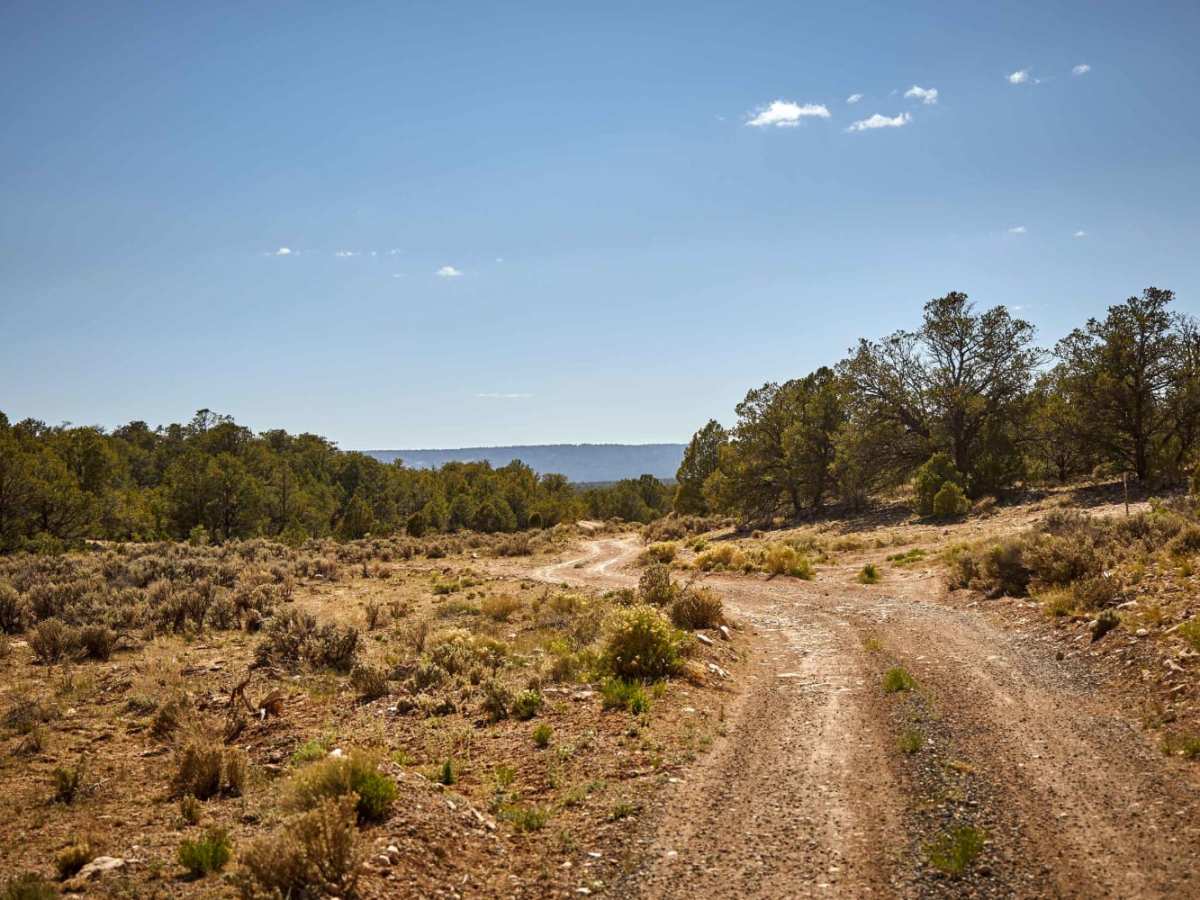 682 Road photo 5