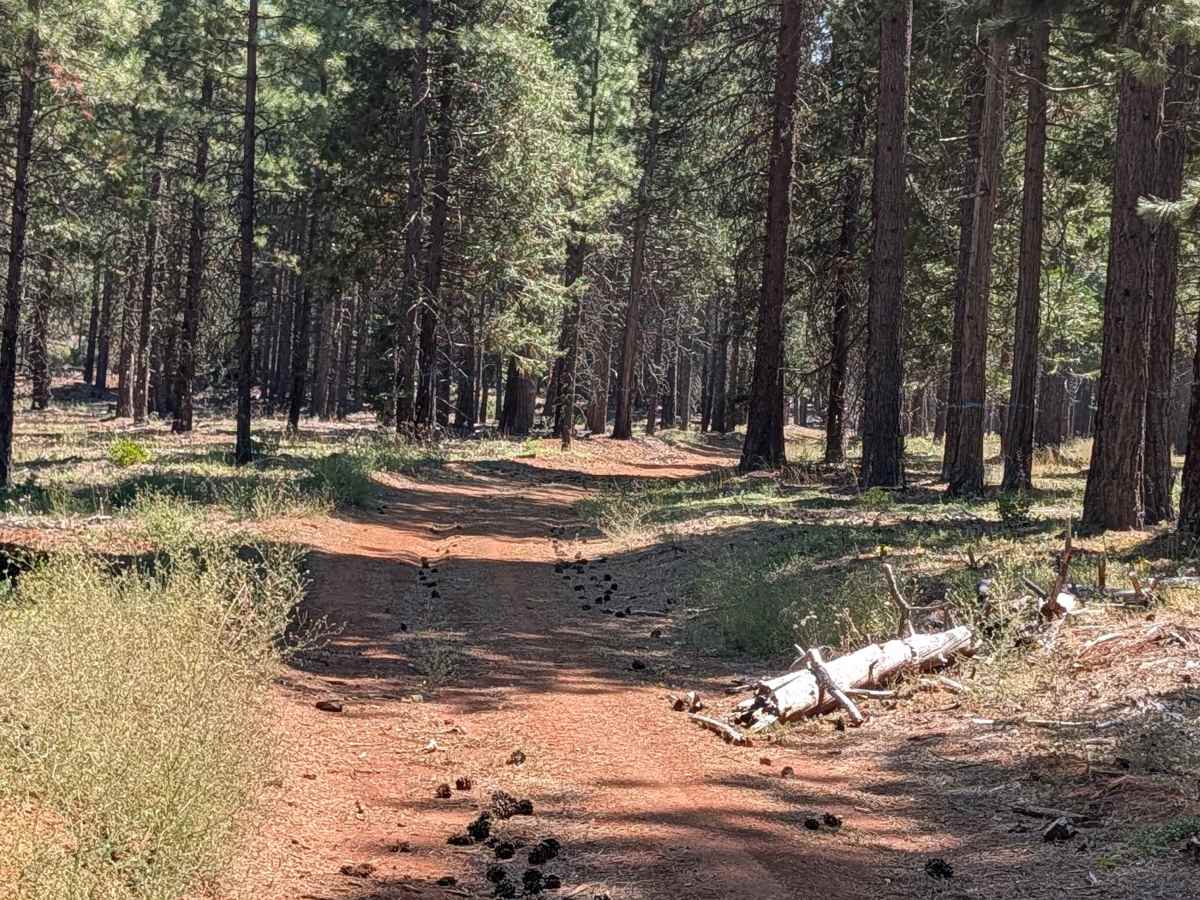 West Lava Rim - FS 40N93Y photo 5