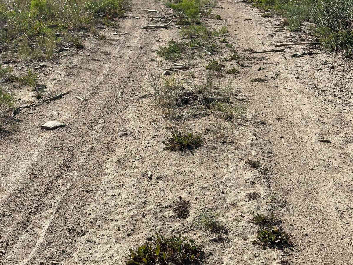BLM Route 2768 photo 3